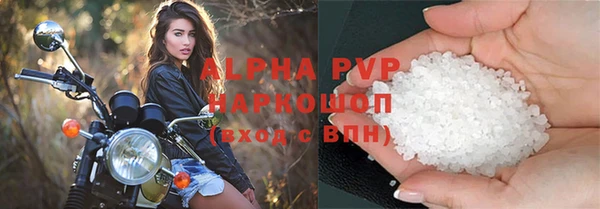 индика Козловка
