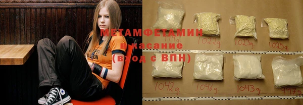 индика Козловка