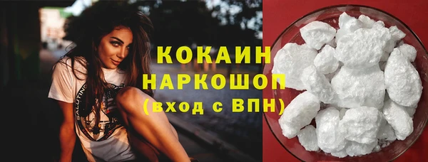 индика Козловка