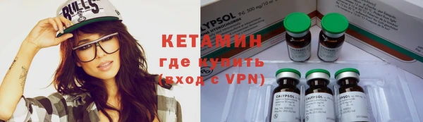 индика Козловка