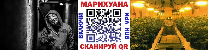 Купить  Хадыженск  Конопля OG Kush 